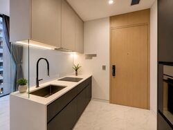 Scotts Road (D9), Condominium #565598471